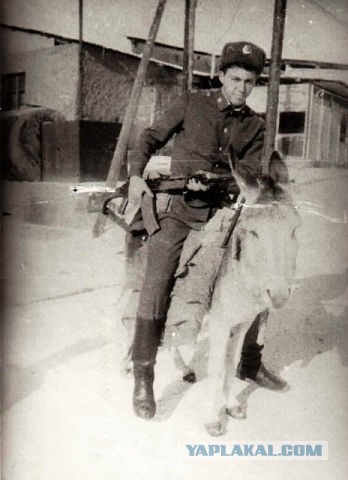 А давайте в честь праздника, выкладывать свои армейские фотки уважаемые яповцы