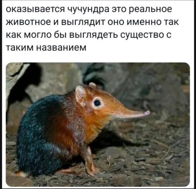 Маленькая пятница 4.06.25