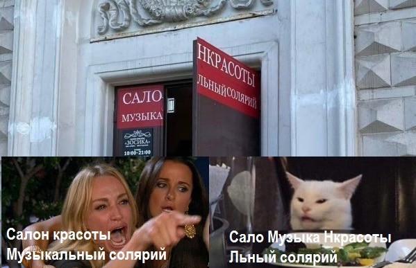 Знаменитый кот