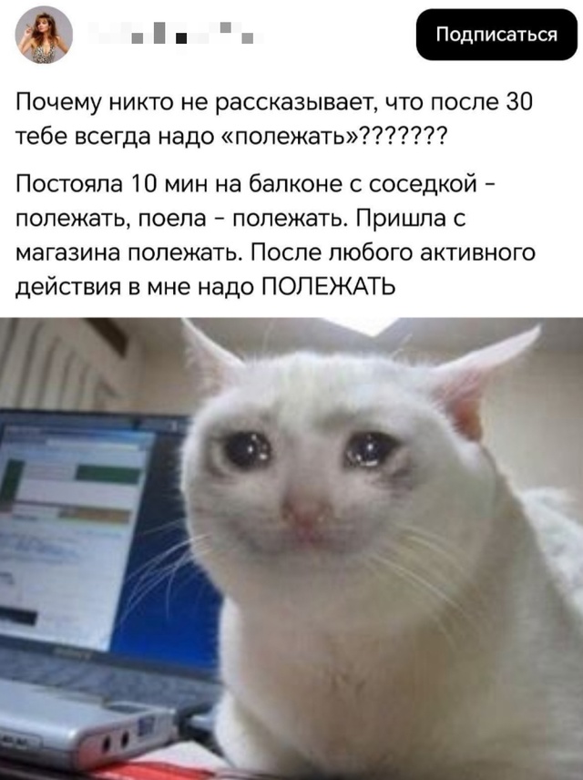 Весёлый полтишок 09.07.25