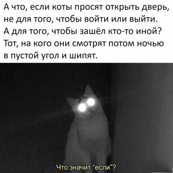 Веселое настроение в картинках (11.07.2025)