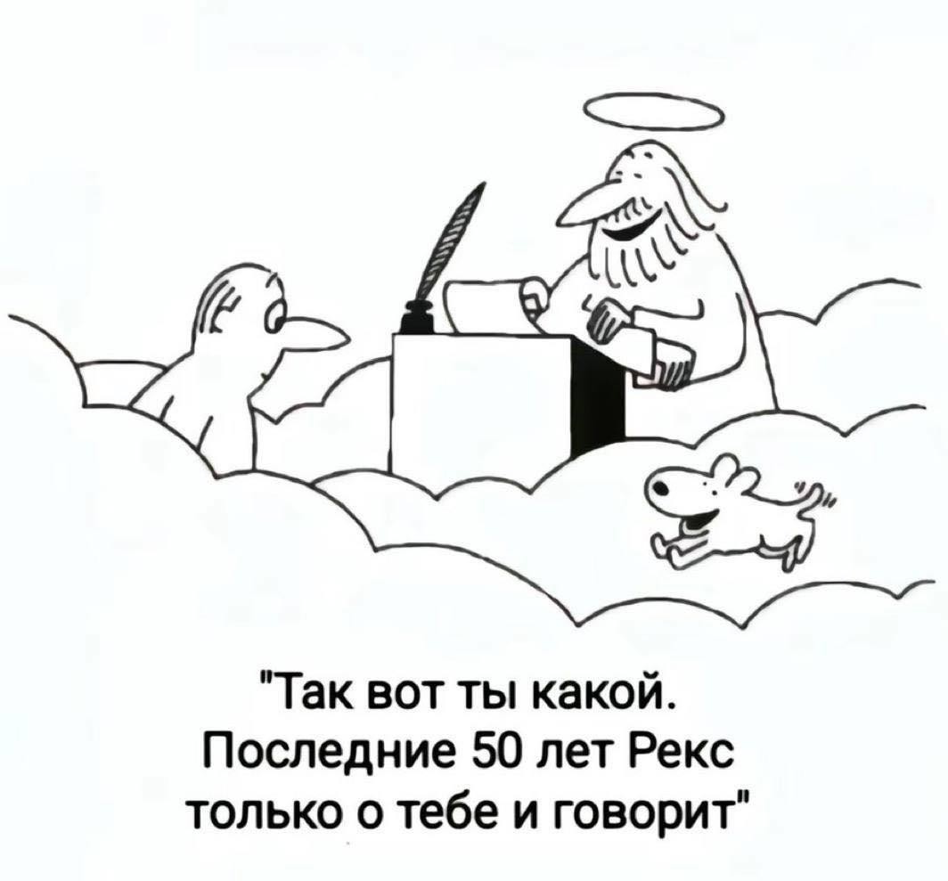 О братьях наших меньших