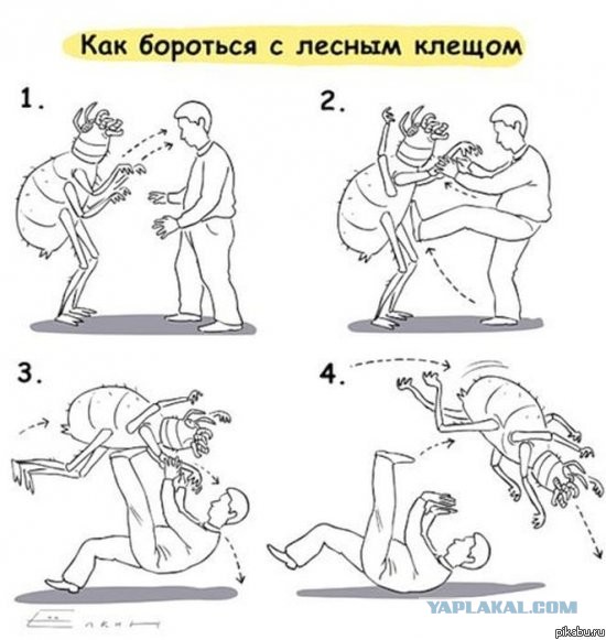 Алкорыцарский турнир