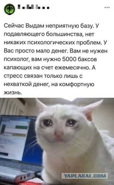 Веселые картинки в понедельник (20/10)