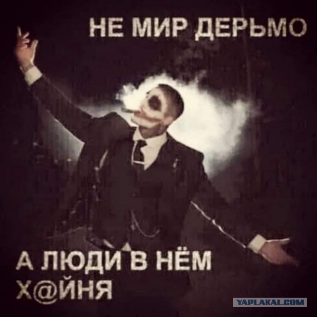 Вот такой и должен быть мир