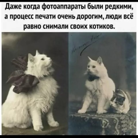 Картиночки, баянчики 29 марта