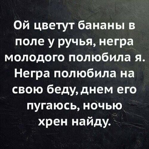 Картинки для деградации 246 (разной степени свежести)