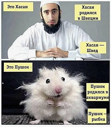 Деревянный небоскреб