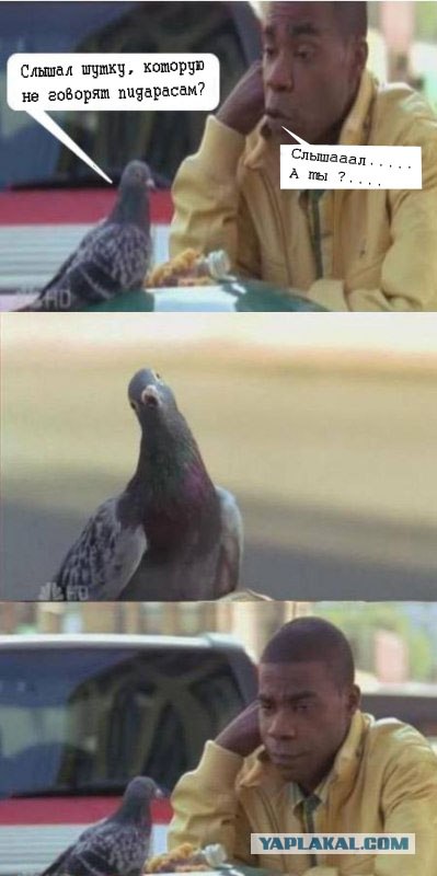 Тонкий намек