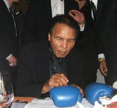 Ум и саааабразительность