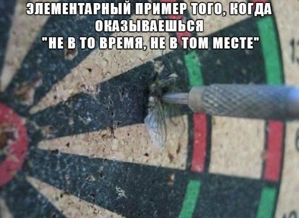 Смешные картинки