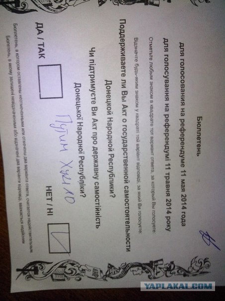 Подборка фото с референдума