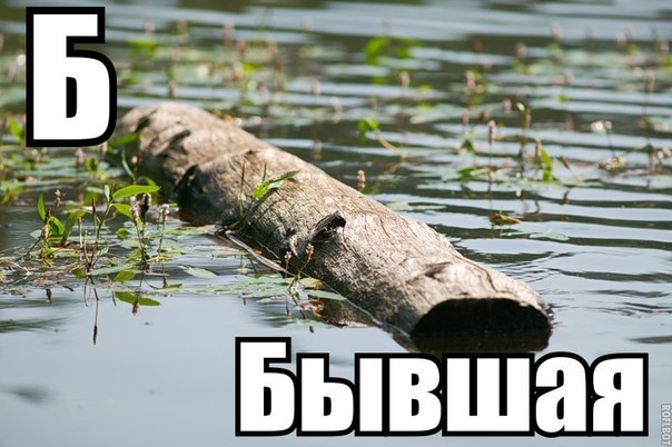 Что можно сделать из старого дерева