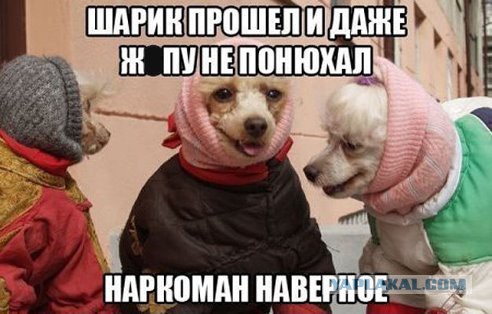 Картинки с инета.