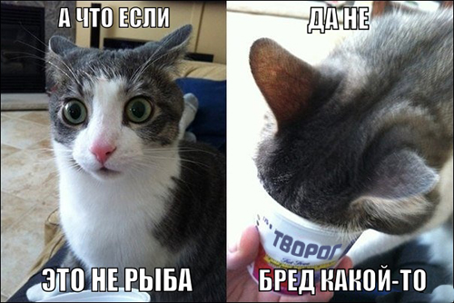 Финал кулинарного конкурса "Шеф-повар 2014"