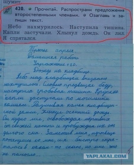 Забавные картинки.