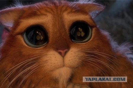 7 причин, почему женщины вообще не умеют