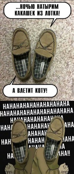 Веселое из сети