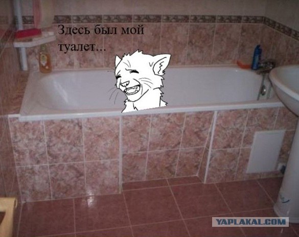 Вот кто хозяин жизни!