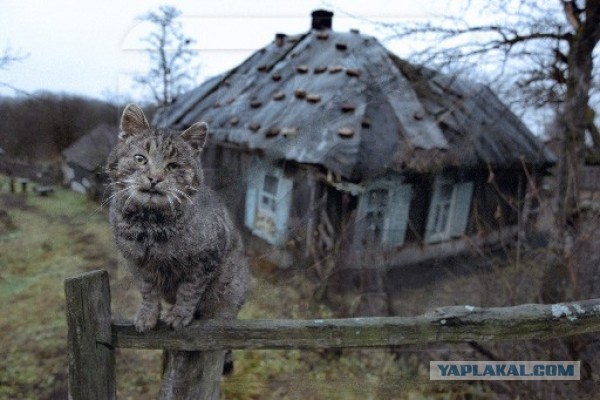 СССР-страна для людей, Спорный фильм,но многое правда