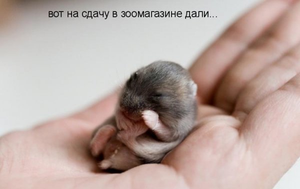Картинки с буквами -11