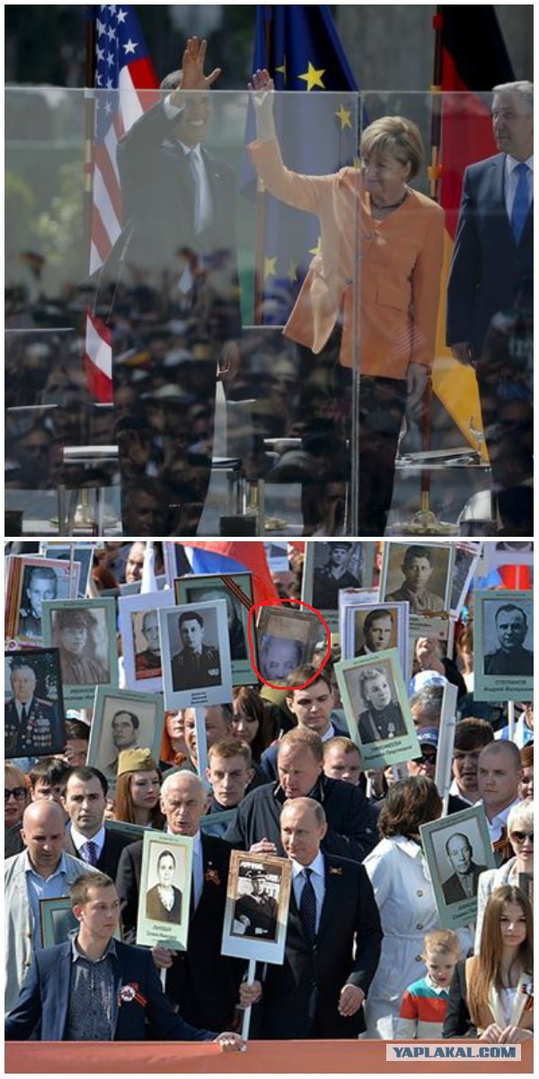 Все познается в сравнении