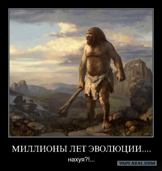 Казачий патруль