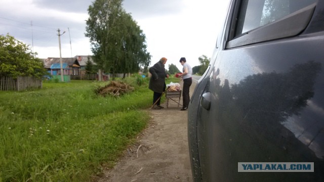 Черника форте