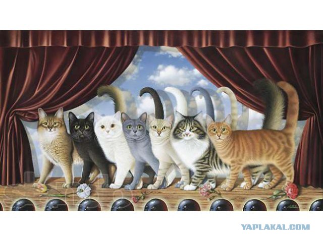 Хоть и не котовторник