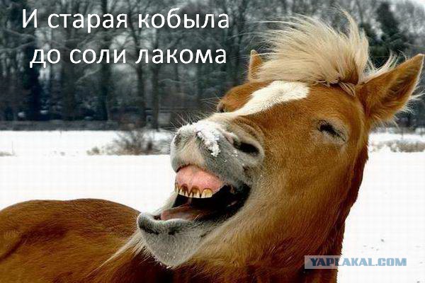 Про соль