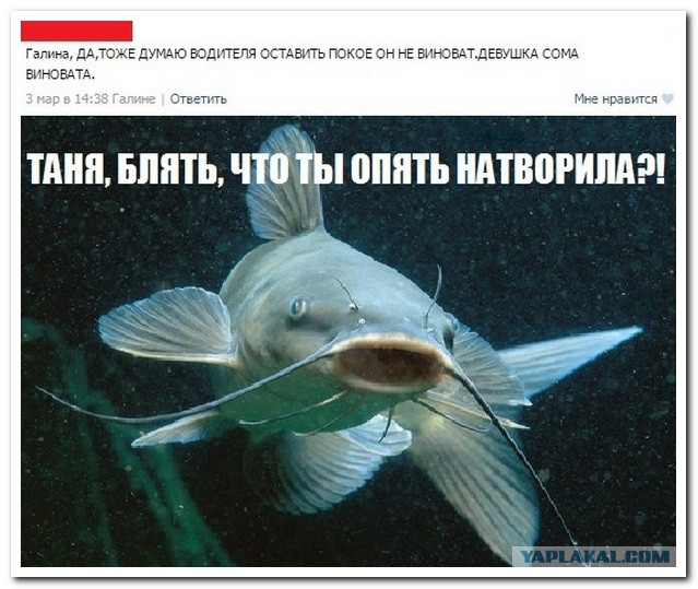Смешные комментарии из социальных сетей