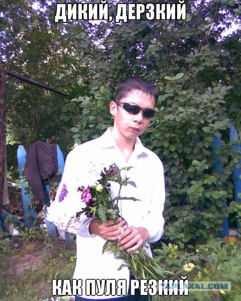 Плюшкиным посвящается