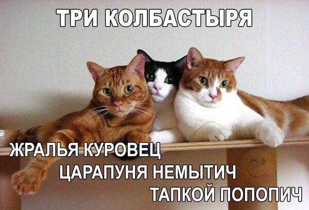 Подборка картинок из сети