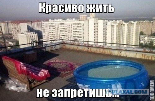 Веселые картинки