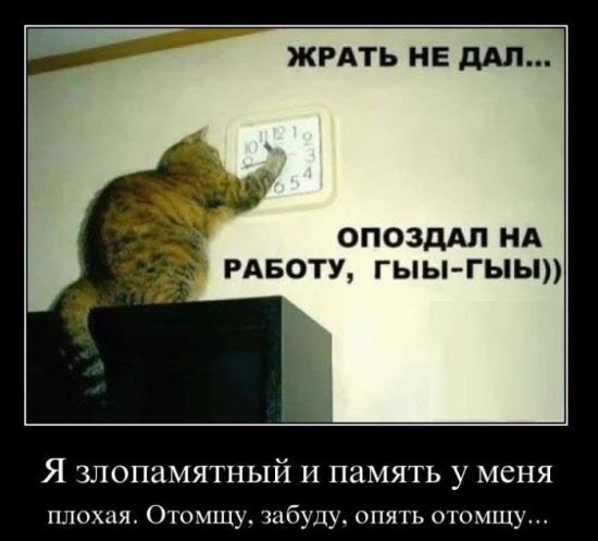 Злые шутки или минутка сарказма на ЯП-е, 16+