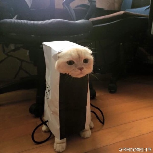 Картинки