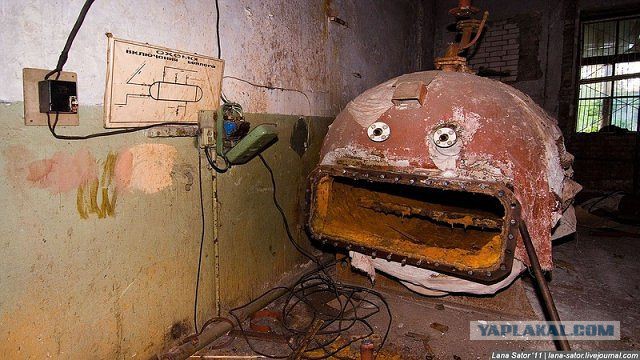 Они живые. Они смотрят на нас!