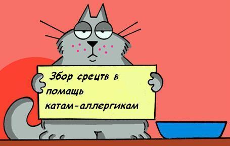Истинно кошачье поведение