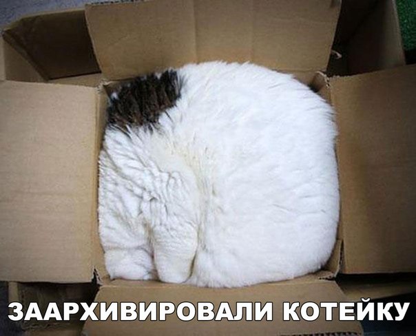 Мохнатые беспредельщики