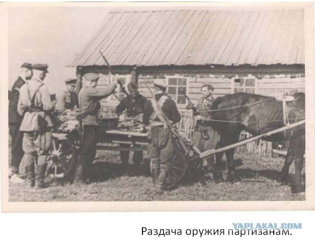 Великая Отечественная война в трактовке советской исторической науки