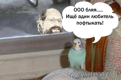 Барсик и Кеша (жесть)
