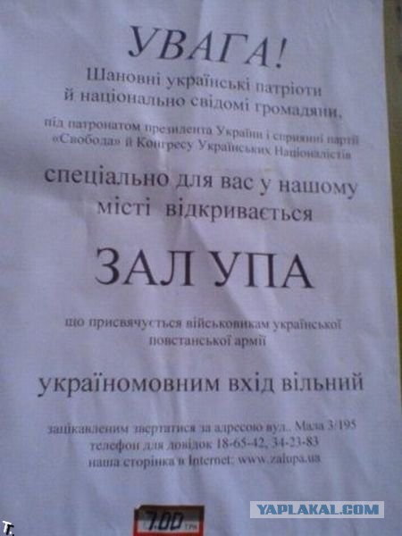 Картинки из сети