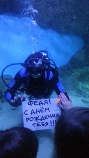 Приморский океанариум страдает от варварского поведения посетителей
