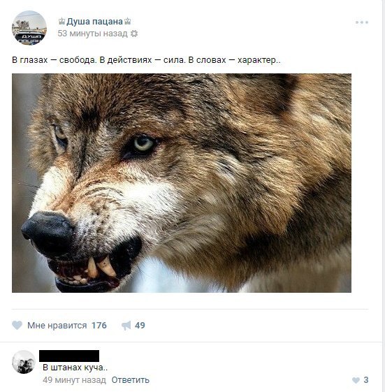 Ужасы и приколы из соцсетей 18+