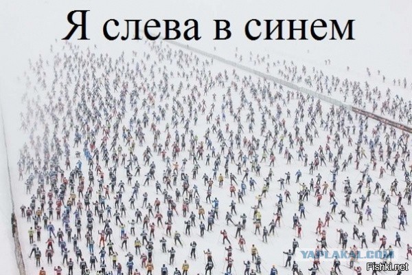 Прикольные и веселые картинки