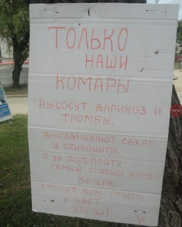 Подборка интересных и веселых картинок