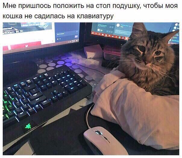 144 картинки для поднятия настроения!