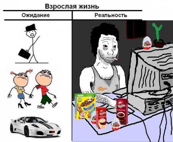 Почему бы не подеградировать, коллеги?