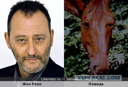 Как выглядит актриса, сыгравшая роль Дивы Плавалагуны в «Пятом элементе»
