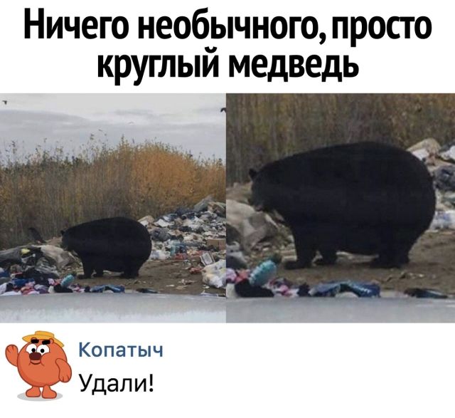 Нестандартный юмор
